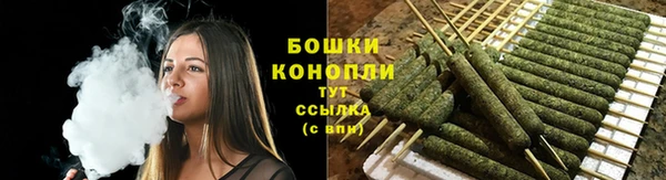 ПСИЛОЦИБИНОВЫЕ ГРИБЫ Ладушкин