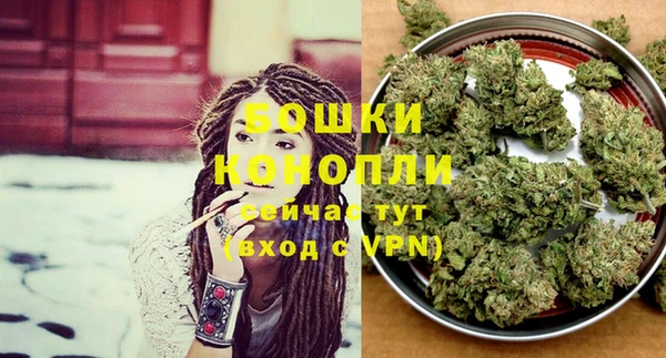 ПСИЛОЦИБИНОВЫЕ ГРИБЫ Ладушкин